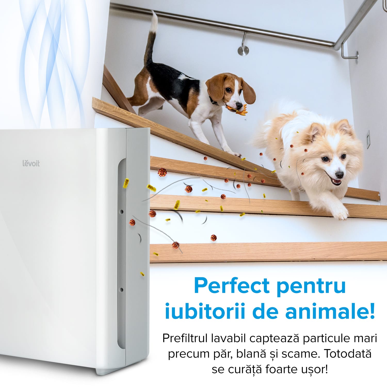 Filtru rezerva pentru purificator de aer LEVOIT Vital 100, 3-in-1, Pre-filtru lavabil, Filtru HEPA si Filtru de carbon activ cu eficienta ridicata, Vital 100-RF - OVIX - Găsești soluții de încălzire, răcire și ventilare, toate integrate și controlabile dintr-o singură platformă.