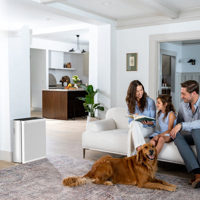 Purificator de aer Smart Levoit EverestAir Wi-Fi, Filtru True HEPA, Carbon Activ, Acoperire până la 100 m², Flux de Aer Multidirecțional, Mod Auto, Compatibil Alexa & Google Home, Touch Screen, Gri - OVIX - Găsești soluții de încălzire, răcire și ventilare, toate integrate și controlabile dintr-o singură platformă.