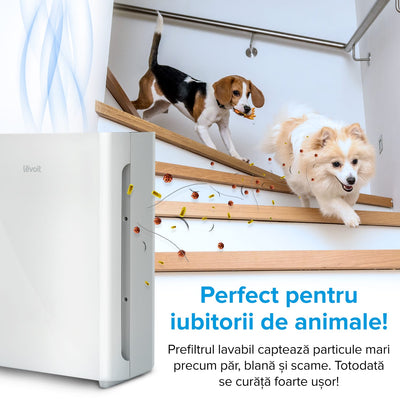 Filtru rezerva pentru purificator de aer LEVOIT Vital 100, 3-in-1, Pre-filtru lavabil, Filtru HEPA si Filtru de carbon activ cu eficienta ridicata, Vital 100-RF - OVIX - Găsești soluții de încălzire, răcire și ventilare, toate integrate și controlabile dintr-o singură platformă.