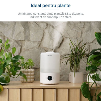 Umidificator de Aer LEVOIT Dual 200S, SMART, WI-FI Ultrasonic, Rezervor 3l, Silentios, Aromaterapie, Functie AUTO, Autonomie 25 Ore - OVIX - Găsești soluții de încălzire, răcire și ventilare, toate integrate și controlabile dintr-o singură platformă.