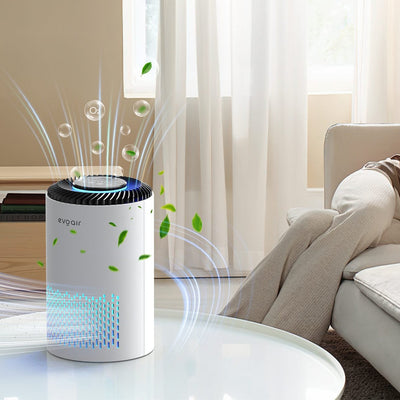 Purificator de aer Evoair Zuno, Filtru 3 in 1 True HEPA, Carbon Activ, Lampă UV, 3 viteze, Mod Noapte, Aromaterapie, Lumină Ambientală, Timer, Alb - OVIX - Găsești soluții de încălzire, răcire și ventilare, toate integrate și controlabile dintr-o singură platformă.