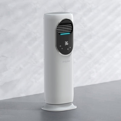 Ventilator turn 4 in 1 Evoair BRIIS SILVER BLACK, Functie Incalzire/Racire/Umidificare/Sterilizare UV, Telecomanda, 5 viteze, Pastile Racire 2+2 Cadou, Rezervor 3.15l, Display Negru, Contur Argintiu - OVIX - Găsești soluții de încălzire, răcire și ventilare, toate integrate și controlabile dintr-o singură platformă.